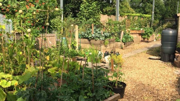 Community garden